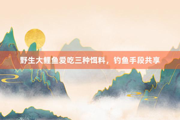 野生大鲤鱼爱吃三种饵料，钓鱼手段共享
